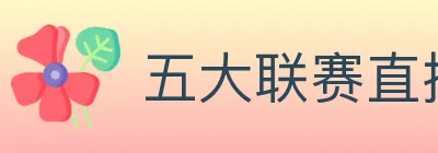 五大联赛直播 Logo